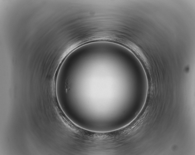 X0000096171242200801251143