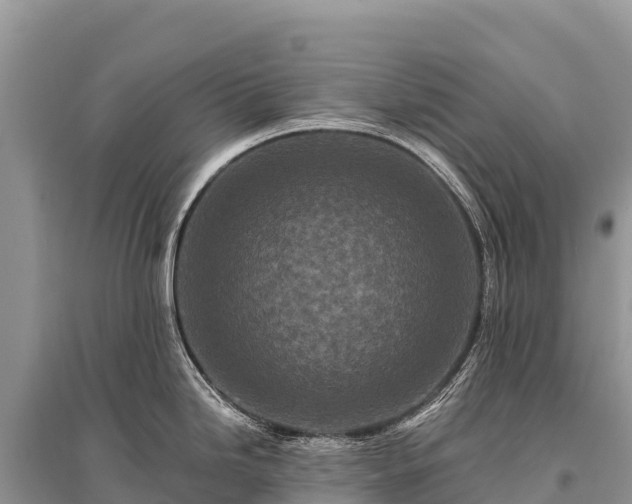 X0000096171246200801251143