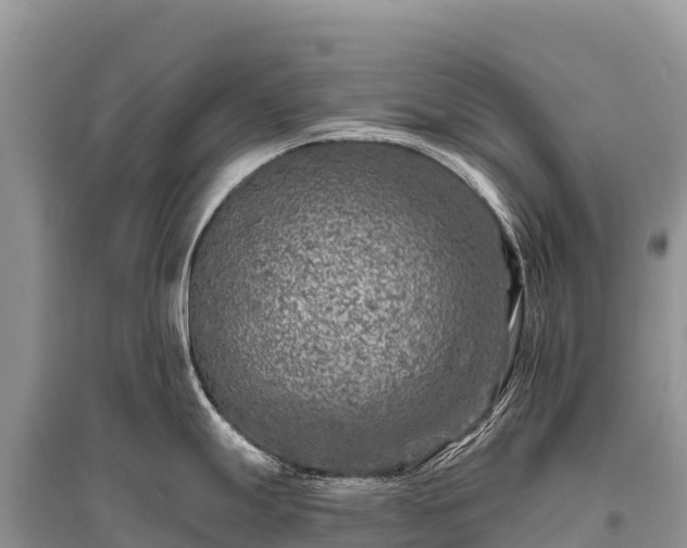X0000096171247200801251143