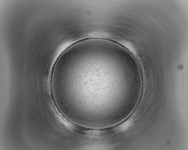 X0000096171248200801251143