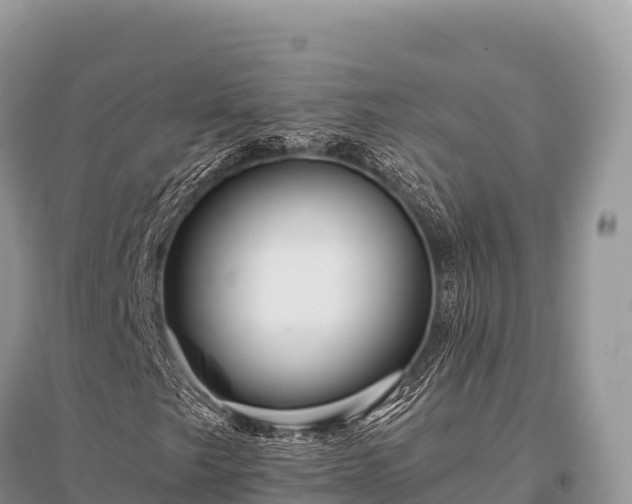 X0000096171249200801251142