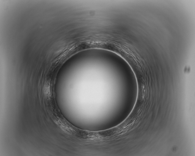 X0000096171250200801251142