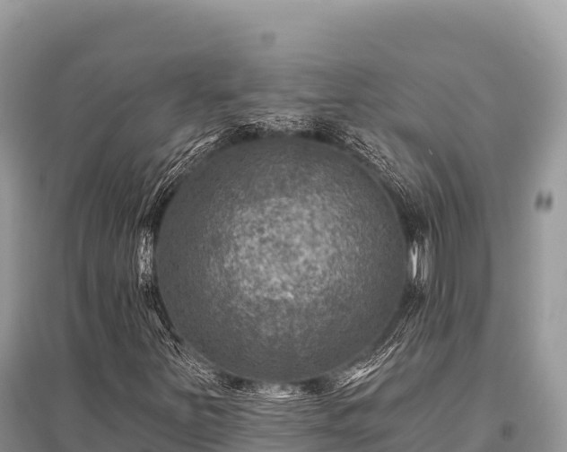 X0000096171251200801251142