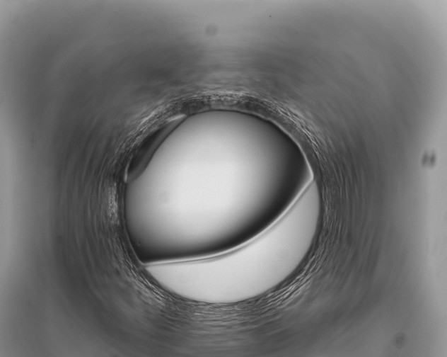 X0000096171252200801251142