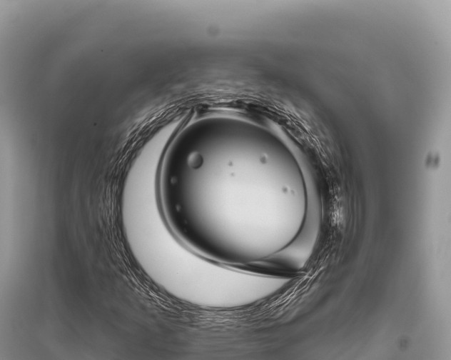 X0000096171253200801251142