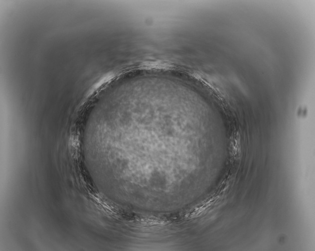 X0000096171254200801251142