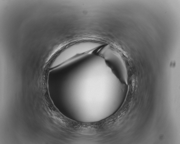 X0000096171256200801251142