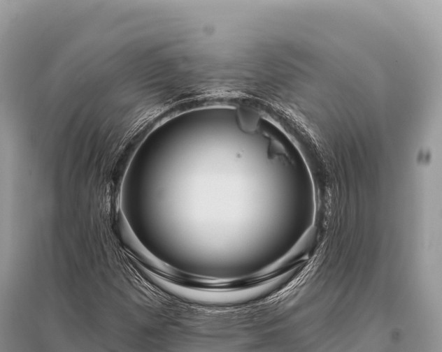 X0000096171257200801251142