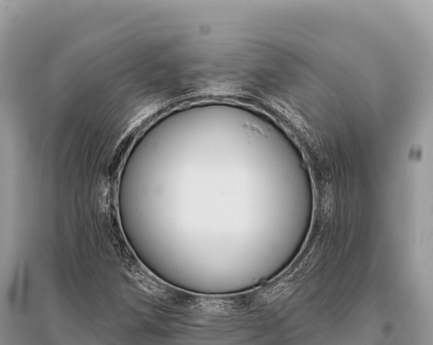 X0000096171258200801251142