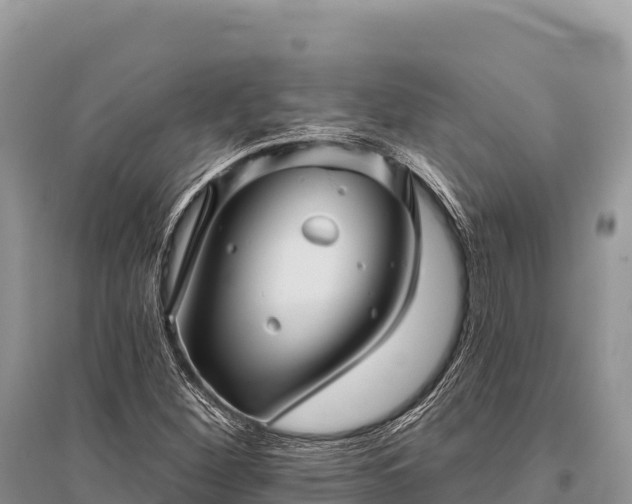 X0000096171260200801251142