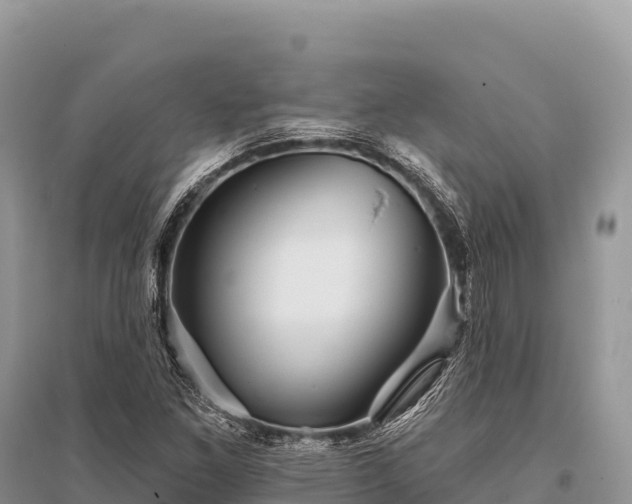 X0000096171261200801251142