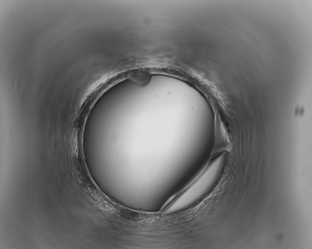 X0000096171262200801251142