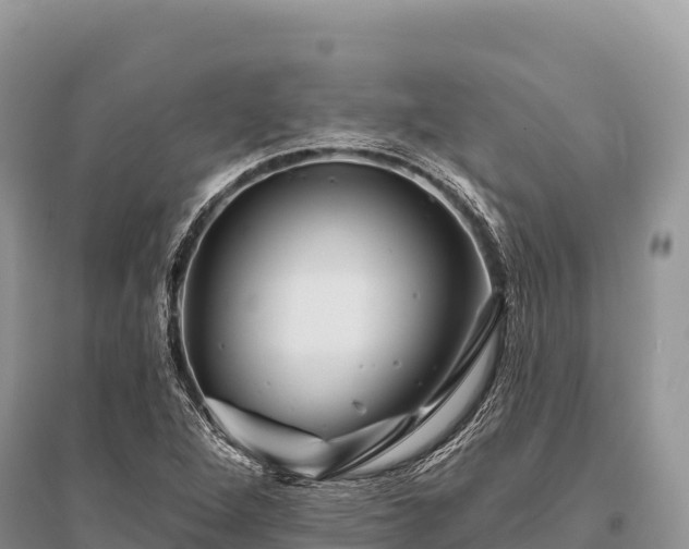 X0000096171264200801251142