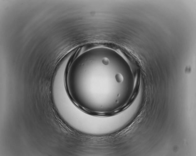 X0000096171265200801251142