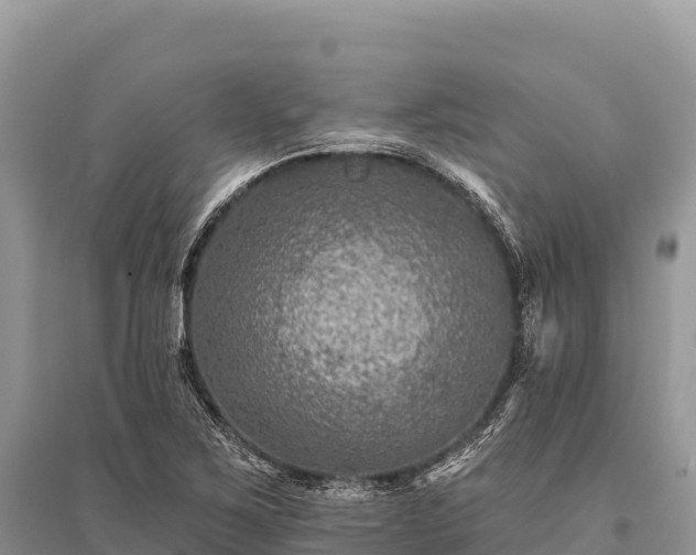 X0000096171267200801251142