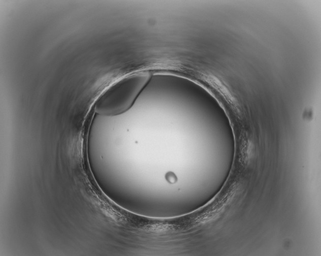 X0000096171268200801251142