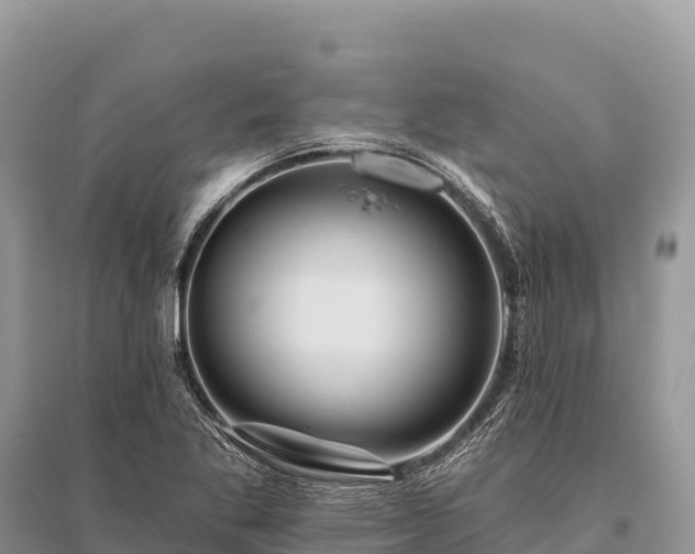 X0000096171269200801251142