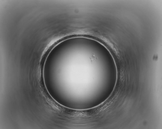 X0000096171270200801251142