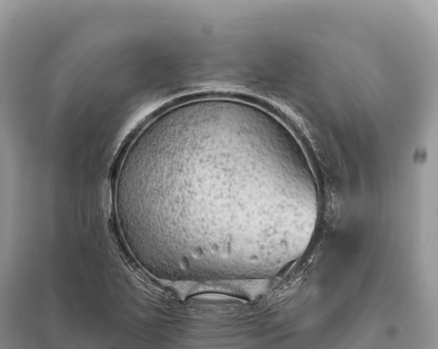 X0000096171271200801251142