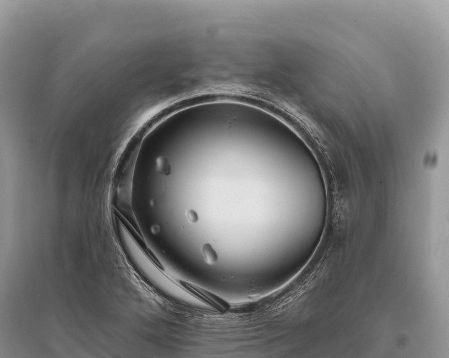 X0000096171272200801251142