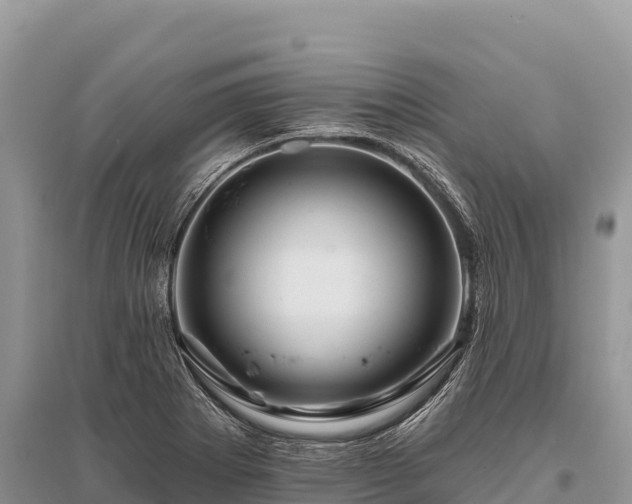 X0000096171273200801251142