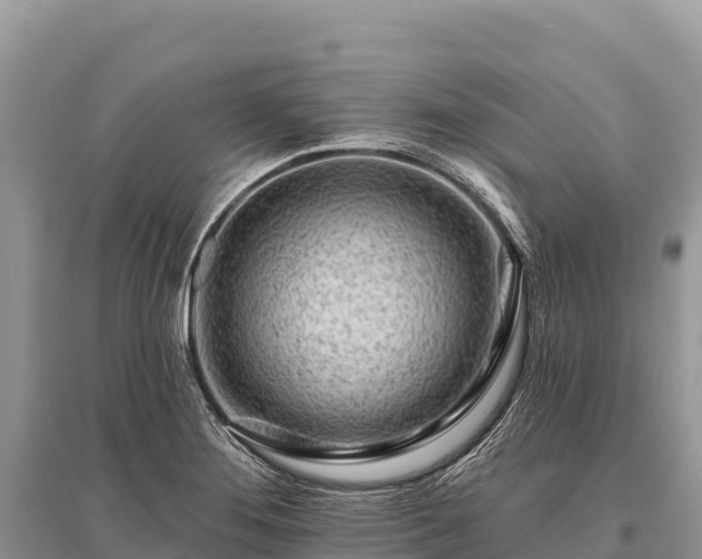 X0000096171276200801251142