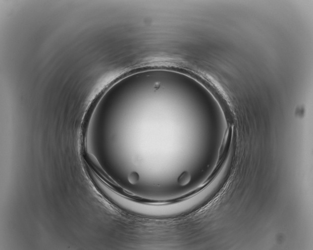 X0000096171277200801251142