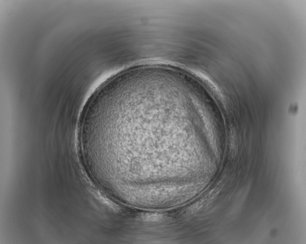 X0000096171278200801251142