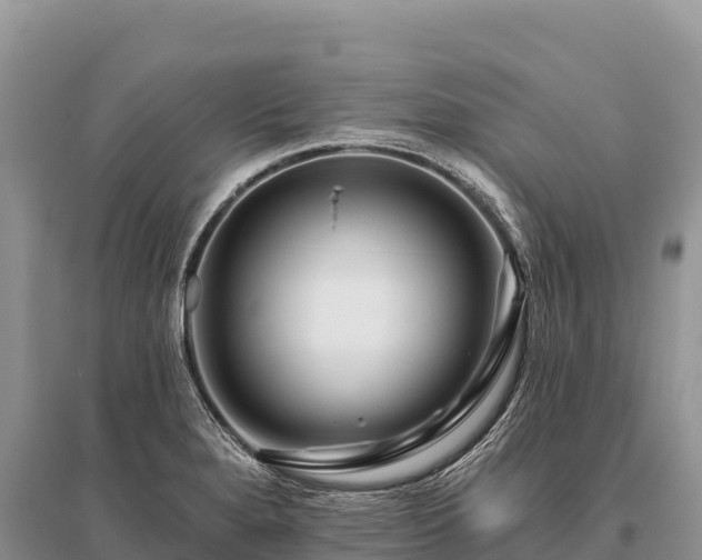 X0000096171280200801251142