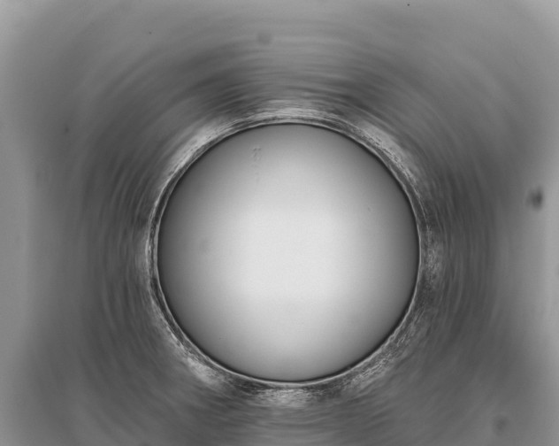 X0000096171282200801251142