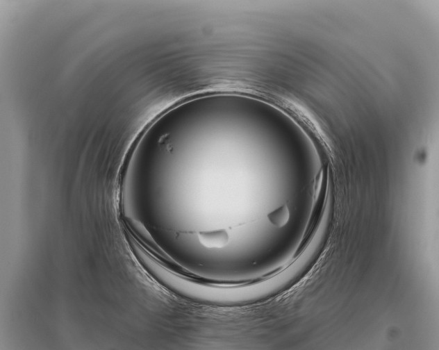 X0000096171284200801251142