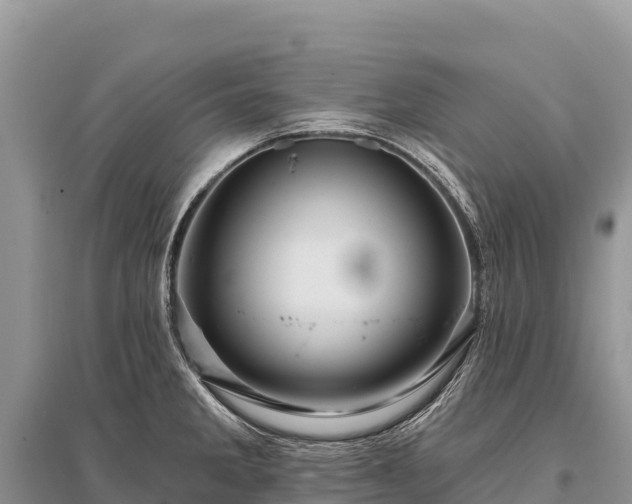 X0000096171285200801251142