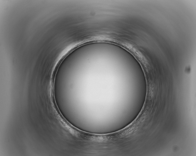 X0000096171286200801251142