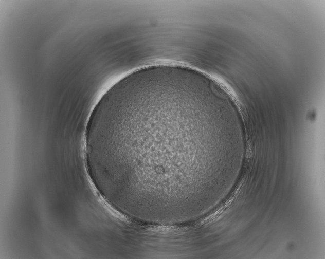 X0000096171287200801251142