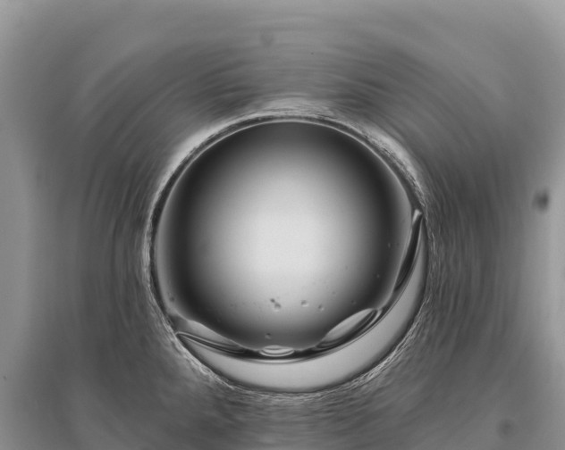 X0000096171288200801251142