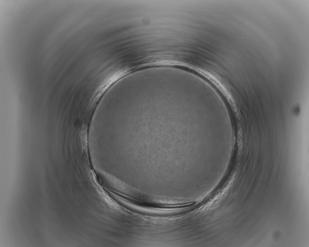 X0000096171289200801251142