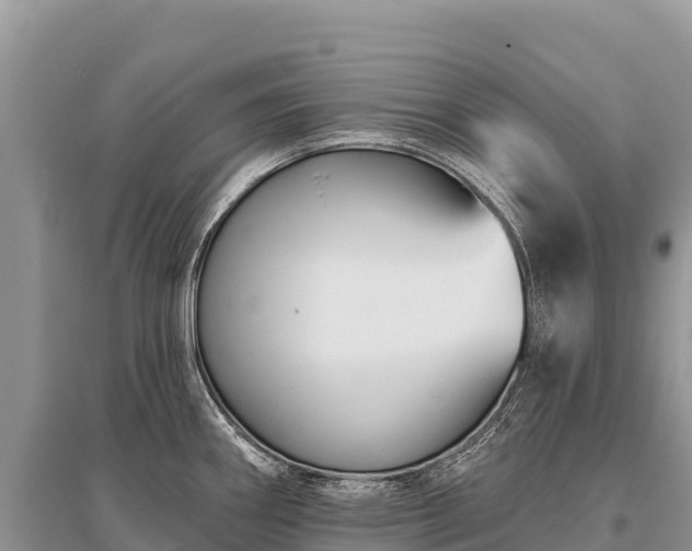 X0000096171290200801251142