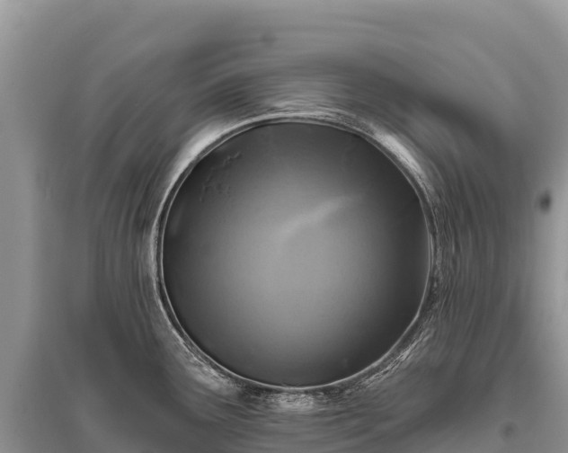 X0000096171291200801251142