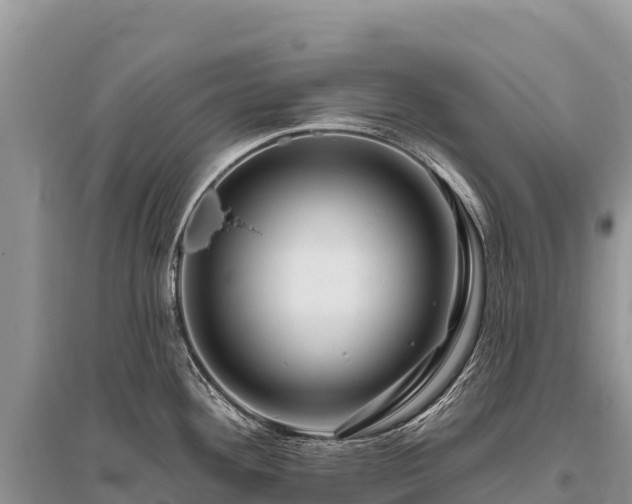 X0000096171292200801251142