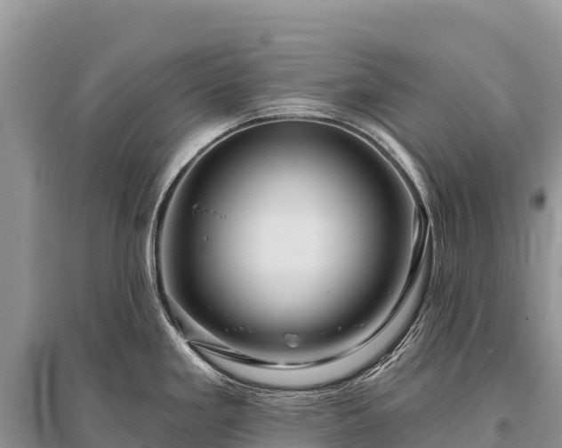 X0000096171293200801251142