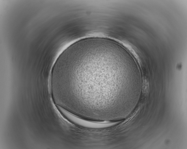 X0000096171295200801251142