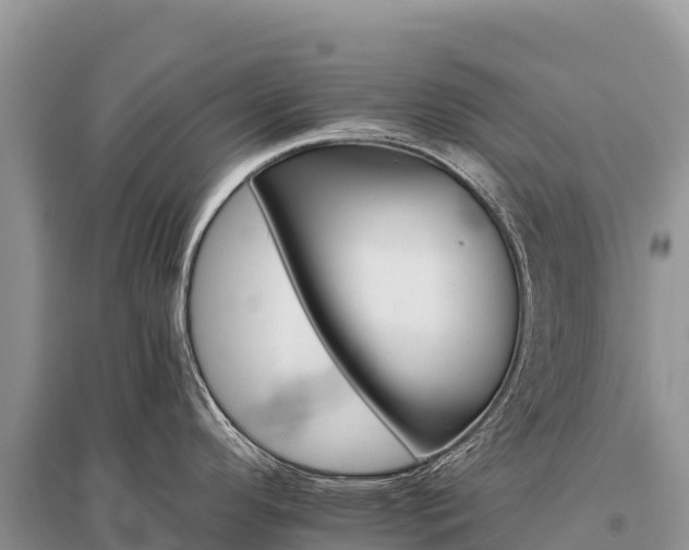 X0000096171296200801251142