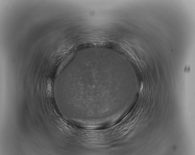 X0000096171298200801251141