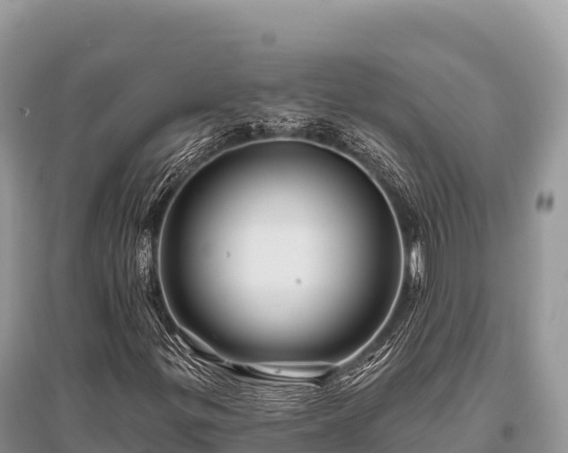 X0000096171299200801251141