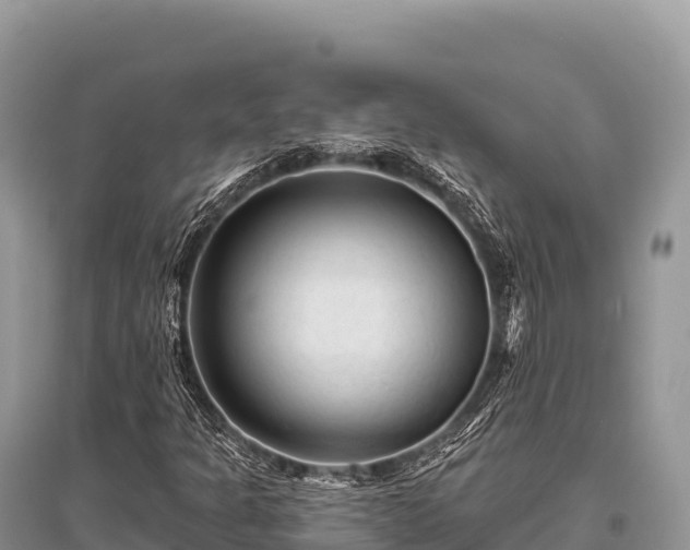 X0000096171301200801251141