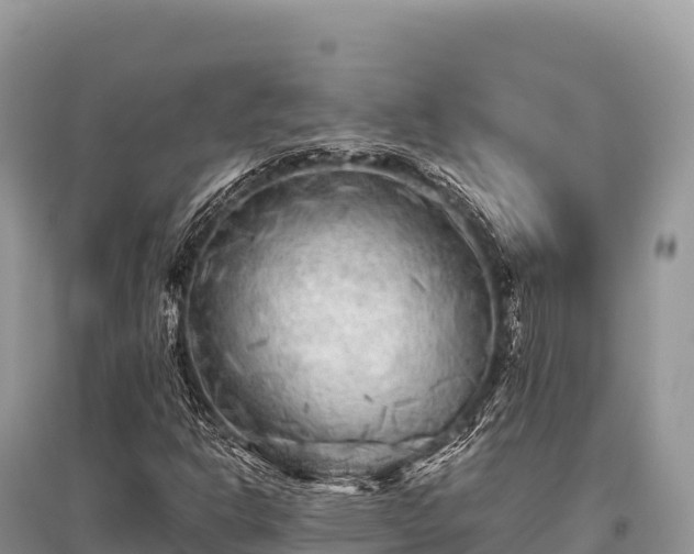 X0000096171302200801251141