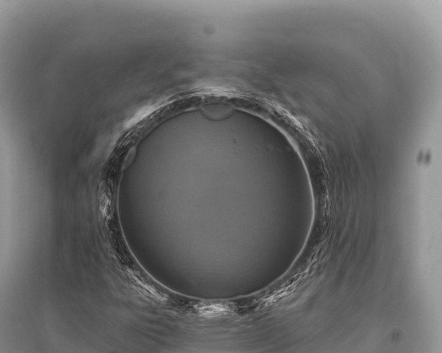 X0000096171303200801251141