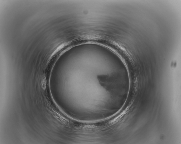 X0000096171306200801251141