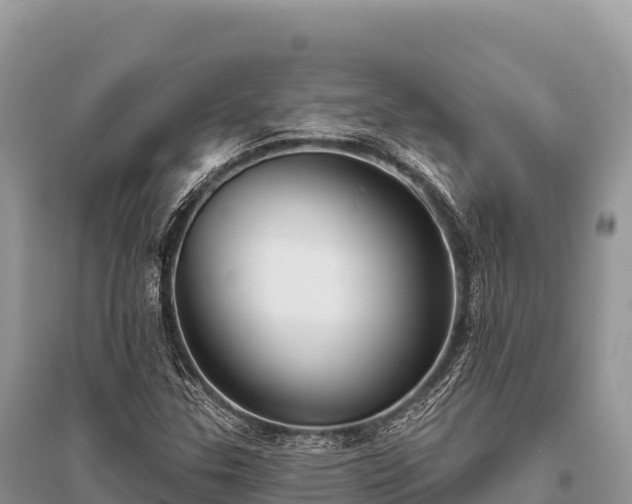 X0000096171307200801251141