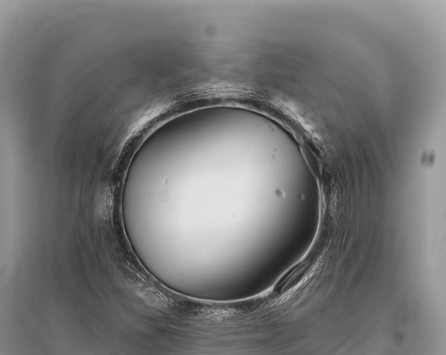 X0000096171309200801251141